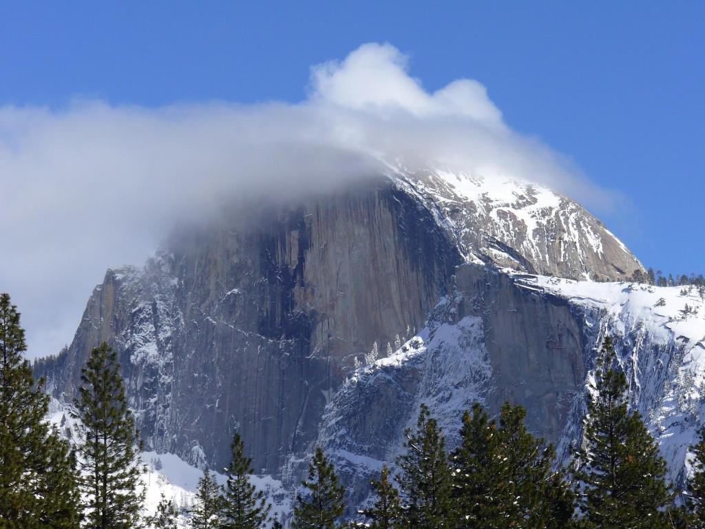 Yosemite Sierra View Bed & Breakfast Окхерст Экстерьер фото